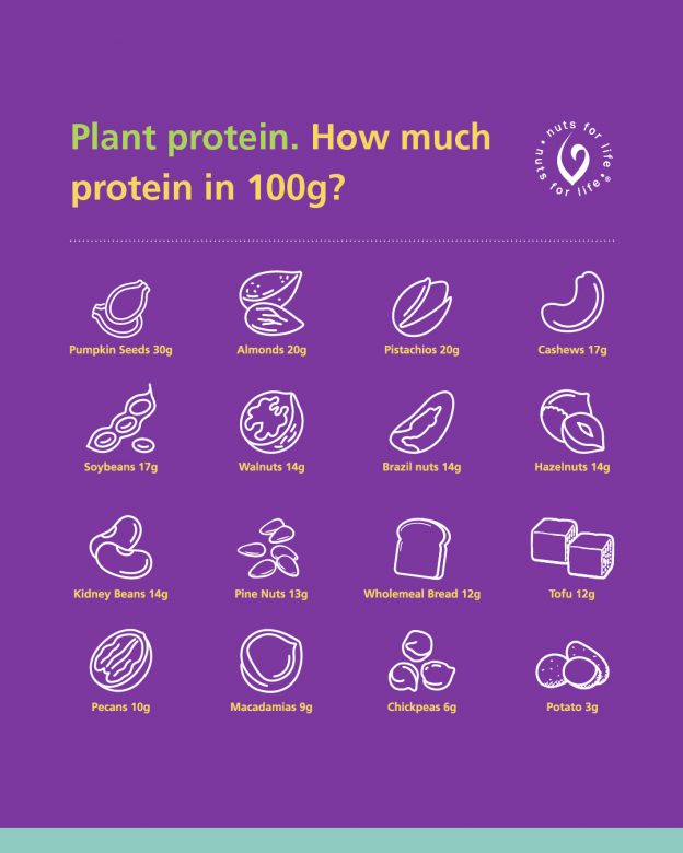 A graphic comparing different foods and how much protein they contain per 100g: Pumpkins seeds 30g, almonds 20g, pistachios 20g, cashews 17g, soybeans 17g, walnuts 14g, brazil nuts 14g, hazelnuts 14g, kidney beans 14g, pine nuts 13g, wholemeal bread 12g, tofu 12g, pecans 10g, macadamias 9g, chickpeas 6g, potato 3g.